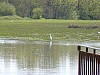 04_avril_2008