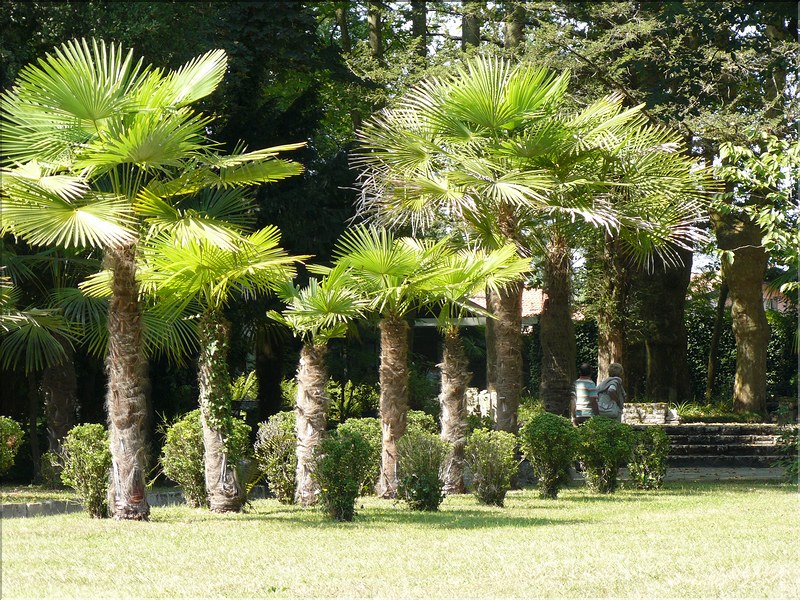P1000635