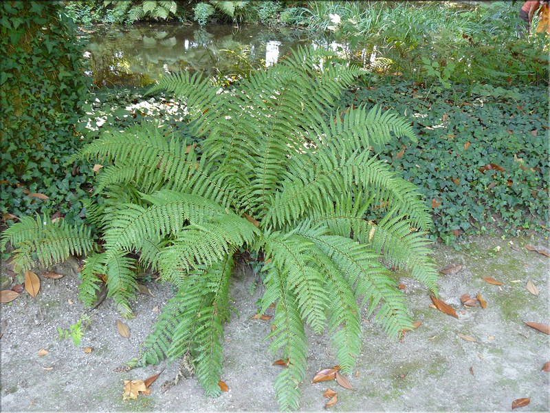 P1000648