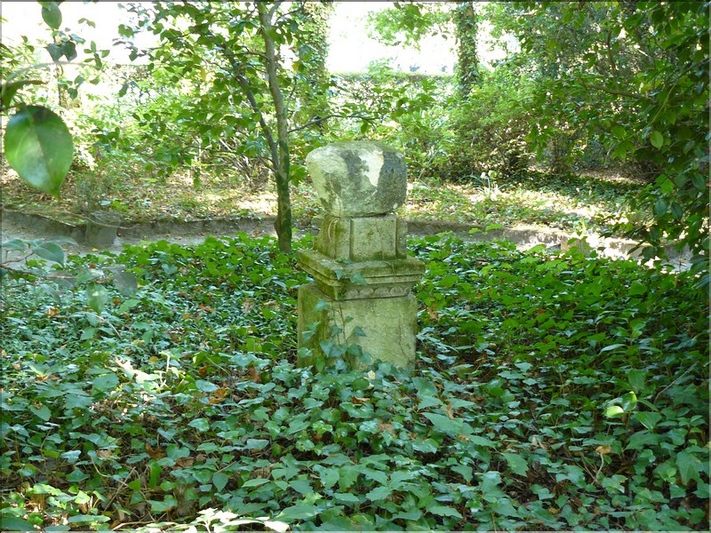 P1000658